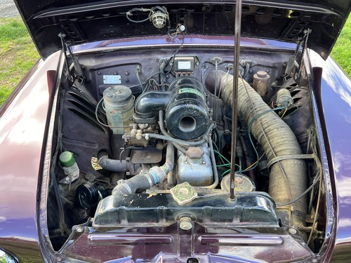 1955 Fiat 1900 A Berlina In vendita (immagine 51 di 62)