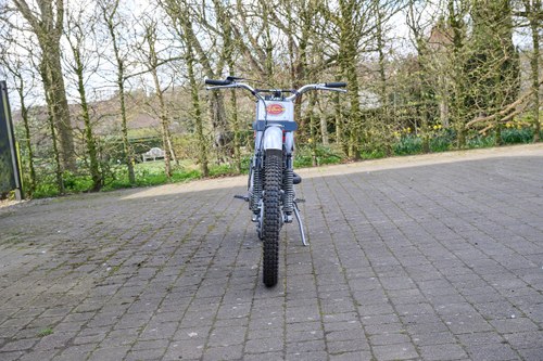 1966 Greeves Anglian Trials Prototype In vendita (immagine 8 di 79)