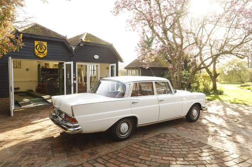 1964 Mercedes-Benz W111 220SB Te koop (foto 21 van 186)