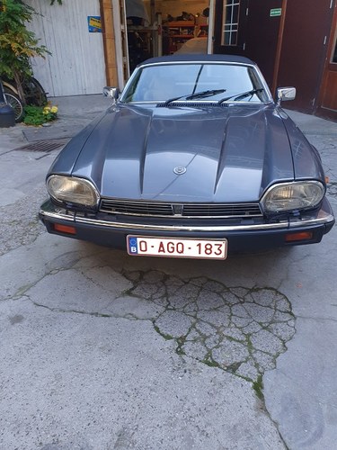 Jaguar XJ-SC Targa 3.6 Manual Te koop (foto 51 van 81)