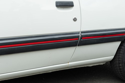 1988 Peugeot 205 GTI 1.9 In vendita (immagine 102 di 190)