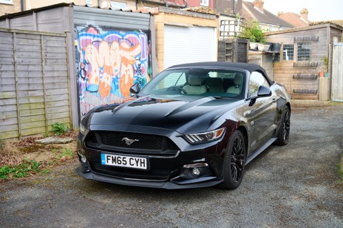 2016 Ford Mustang GT For Sale (picture 17 of 166)