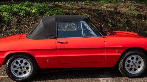 1967 Alfa Romeo Spider 1600 Duetto In vendita (immagine 99 di 185)
