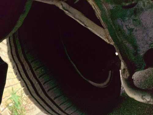 1987 Mercedes-Benz R107 300SL In vendita (immagine 120 di 146)