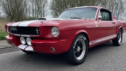 1966 Ford Mustang Fastback GT350 Tribute