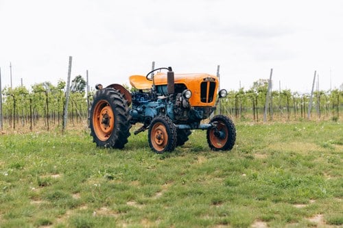 1965 Lamborghini 1R In vendita (immagine 2 di 99)