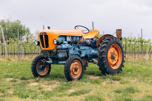 1965 Lamborghini 1R In vendita (immagine 4 di 99)