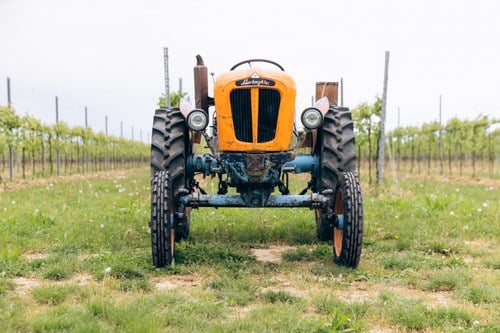 1965 Lamborghini 1R In vendita (immagine 6 di 99)