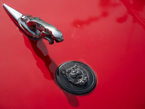 1988 Jaguar XJ-S V12 Convertible For Sale (picture 112 of 257)