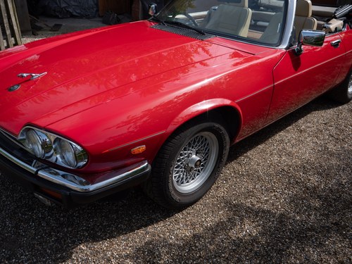 1988 Jaguar XJ-S V12 Convertible For Sale (picture 118 of 257)