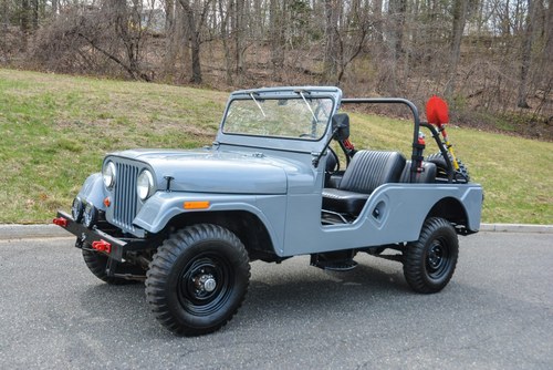 1961 Jeep Willys 4x4 4WD - LHD clean solid driver $obo For Sale