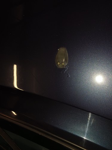 1986 Porsche 928 S4 à venda (imagem 84 de 85)