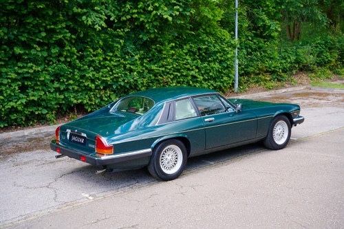 1991 Jaguar XJ-S V12 Le Mans Coupe In vendita (immagine 8 di 194)