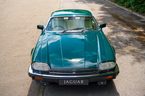 1991 Jaguar XJ-S V12 Le Mans Coupe In vendita (immagine 11 di 194)