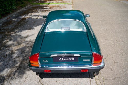 1991 Jaguar XJ-S V12 Le Mans Coupe In vendita (immagine 12 di 194)
