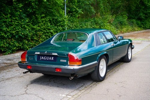 1991 Jaguar XJ-S V12 Le Mans Coupe In vendita (immagine 13 di 194)