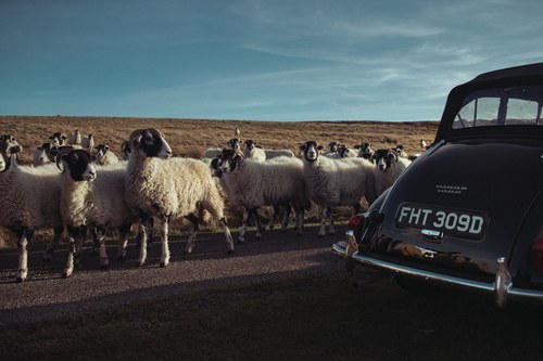 1966 Morris Minor 1000 Convertible For Sale (picture 40 of 50)