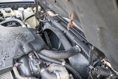 1996 Bentley Turbo R zum Verkauf (Bild 169 von 198)