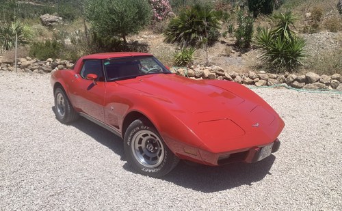 1979 Chevrolet Corvette C3 zum Verkauf (Bild 1 von 77)