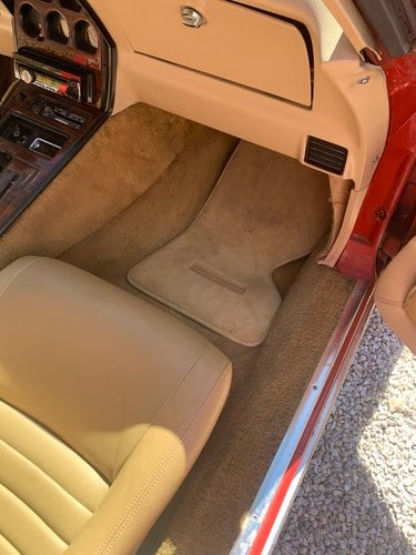 1979 Chevrolet Corvette C3 zum Verkauf (Bild 32 von 77)