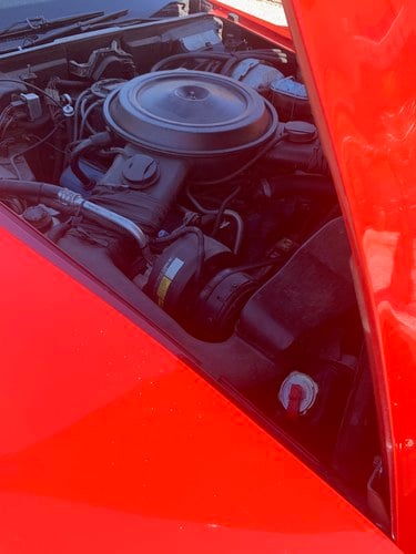 1979 Chevrolet Corvette C3 zum Verkauf (Bild 46 von 77)