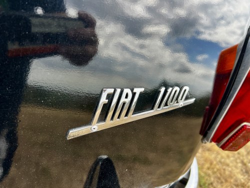 1957 Fiat 1100 103E En venta (imagen 77 de 84)