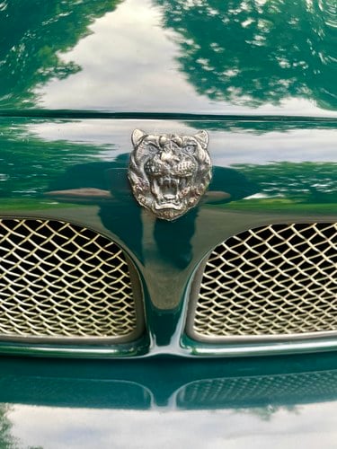 2000 Jaguar X308 XJR In vendita (immagine 37 di 45)