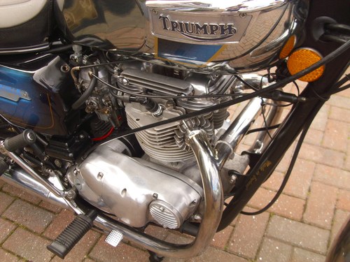 1981 Triumph Bonneville T140 Royal Wedding Limited Edition zum Verkauf (Bild 75 von 88)