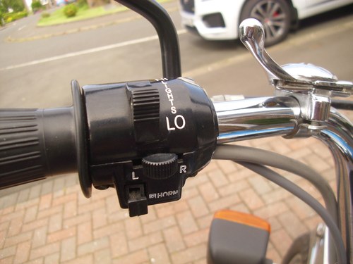 1981 Triumph Bonneville T140 Royal Wedding Limited Edition zum Verkauf (Bild 25 von 88)