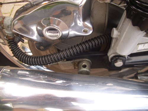 1981 Triumph Bonneville T140 Royal Wedding Limited Edition zum Verkauf (Bild 68 von 88)