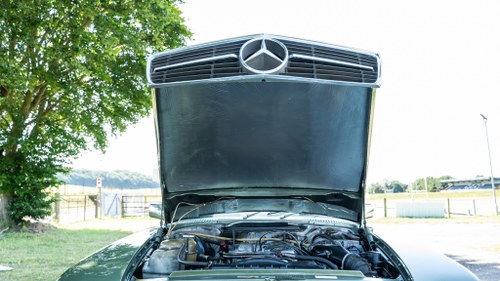 1983 Mercedes-Benz R107 280SL In vendita (immagine 149 di 192)