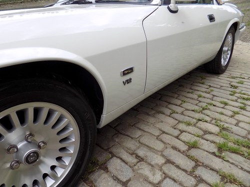 1995 Jaguar XJS V12 Auto zum Verkauf (Bild 50 von 79)