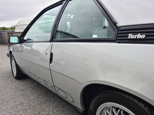 1985 Renault Fuego Turbo In vendita (immagine 67 di 100)