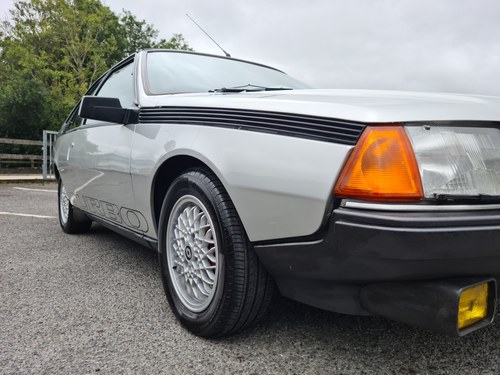 1985 Renault Fuego Turbo In vendita (immagine 77 di 100)