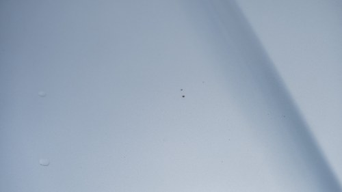 1996 BMW E38 750iL zum Verkauf (Bild 120 von 264)