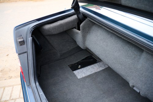 1996 Mercedes Benz E220 Cabriolet (W124) En venta (imagen 88 de 183)