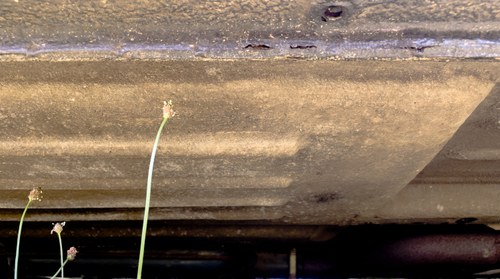 1984 Mercedes-Benz R107 280SL In vendita (immagine 155 di 168)