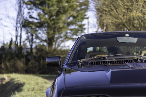 1983 Alfa Romeo GTV6 2.5 In vendita (immagine 66 di 125)