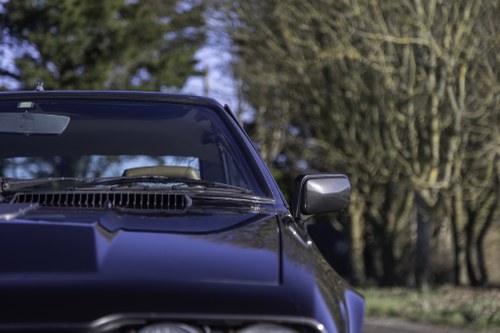 1983 Alfa Romeo GTV6 2.5 In vendita (immagine 69 di 125)