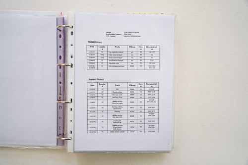 1995 TVR Griffith Te koop (foto 266 van 277)