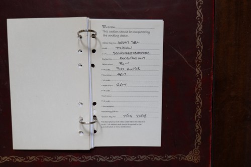 2000 TVR Tuscan Speed Six Te koop (foto 146 van 153)