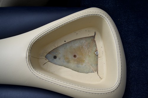 1994 TVR Chimaera 400HC zum Verkauf (Bild 63 von 155)