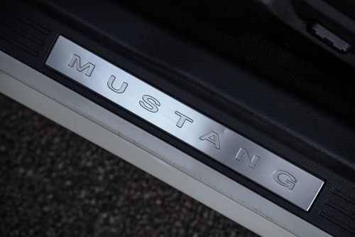 2009 Ford Mustang GT 4.6L V8 45th Anniversary ‘Glass Roof’ Te koop (foto 105 van 331)