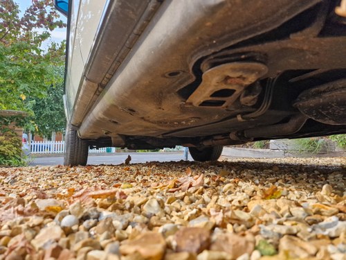 1984 Mercedes-Benz 200 (W123) zum Verkauf (Bild 216 von 259)
