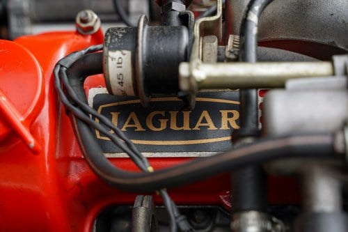 1974 Jaguar E-Type Series 3 V12 OTS RHD In vendita (immagine 221 di 295)