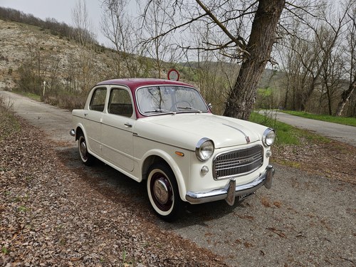 1958 Fiat 1100/103 zum Verkauf (Bild 1 von 73)