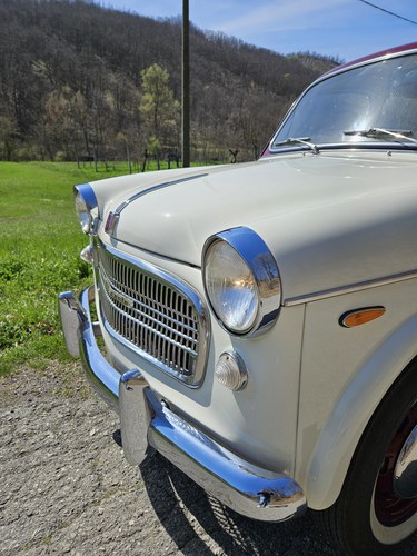1958 Fiat 1100/103 zum Verkauf (Bild 65 von 73)