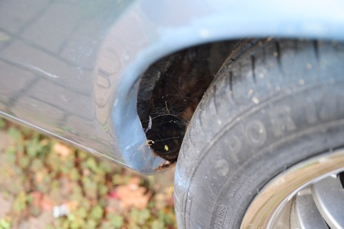1989 Jaguar XJ-S V12 Convertible In vendita (immagine 69 di 127)