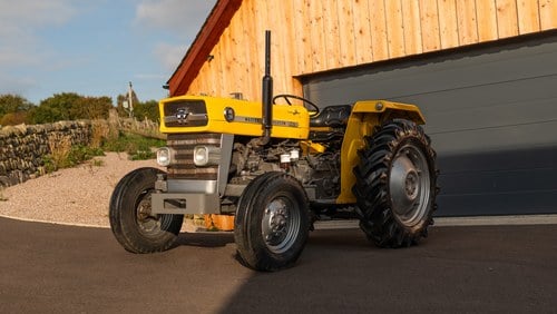 1976 Massey Ferguson MF 20 For Sale (picture 1 of 100)
