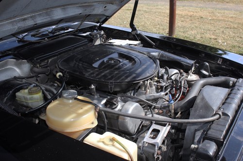 1978 Mercedes-Benz R107 350SL For Sale (picture 100 of 108)